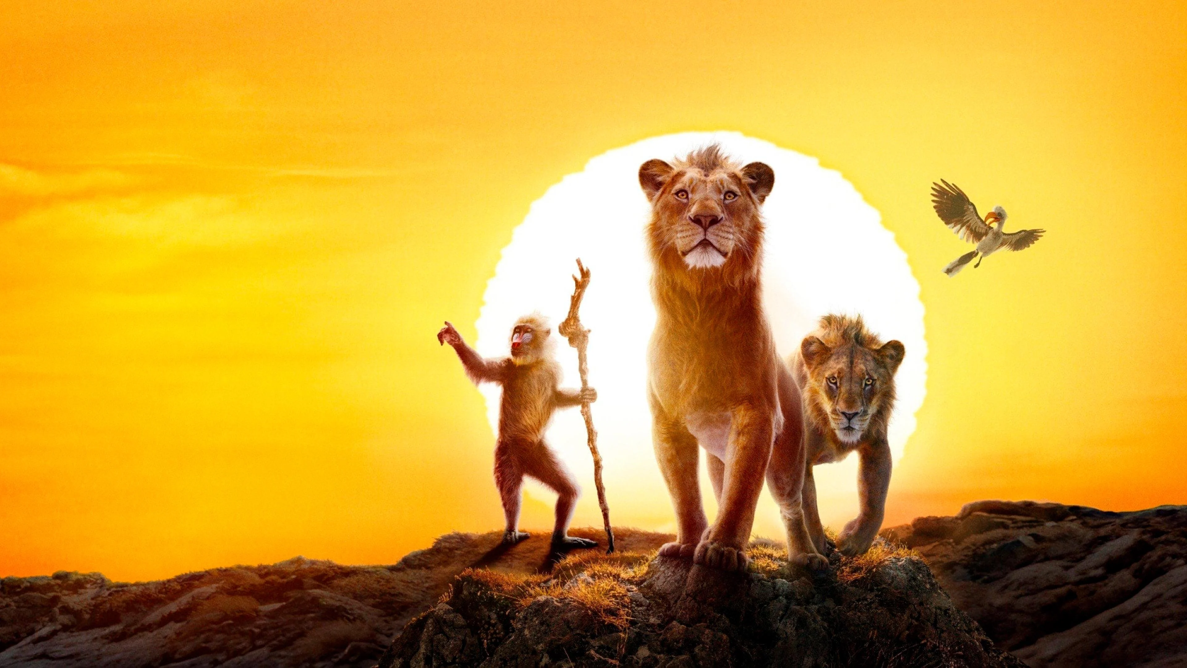 Mufasa: Vua Sư Tử Full
