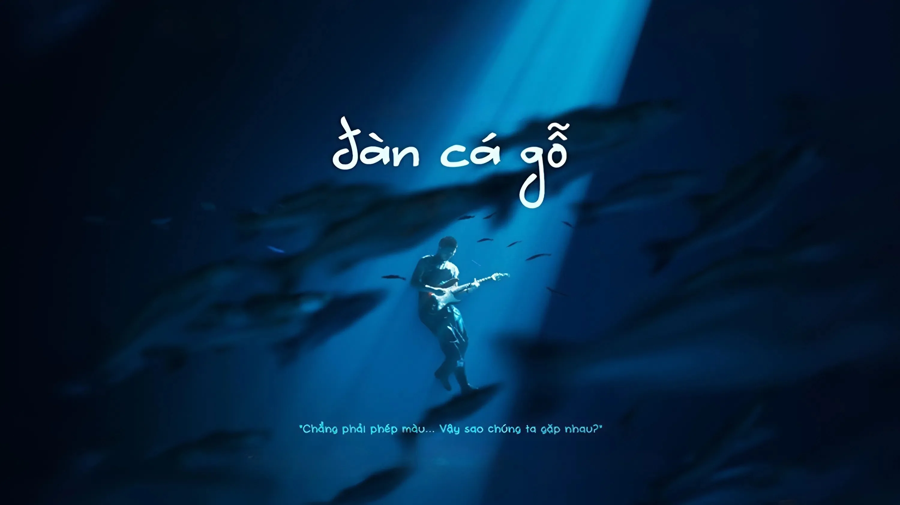 Đàn Cá Gỗ Full