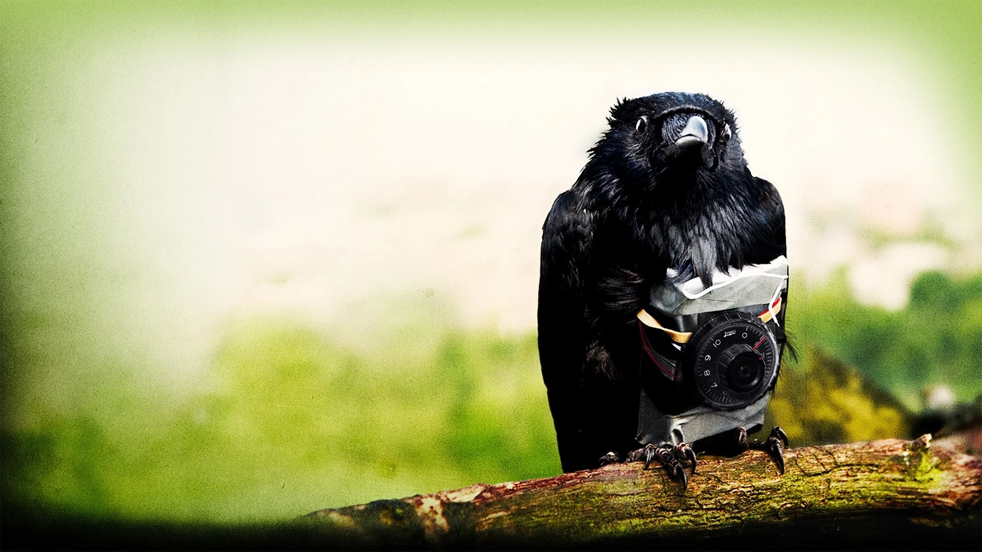Four Lions Full