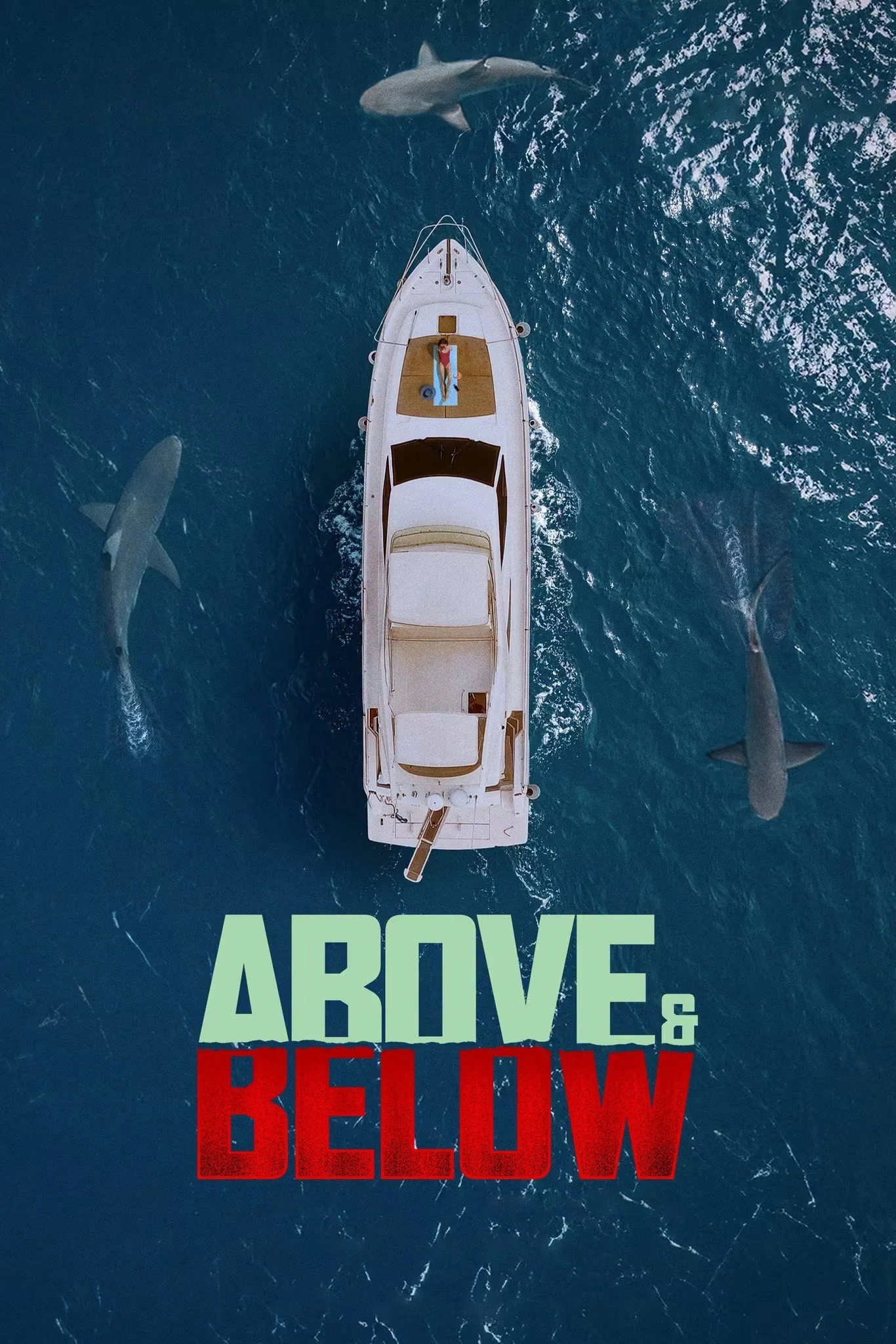 Giữa Trời và Biển